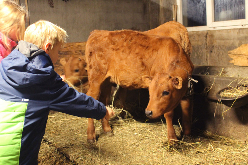 Visite Ferme La Chal