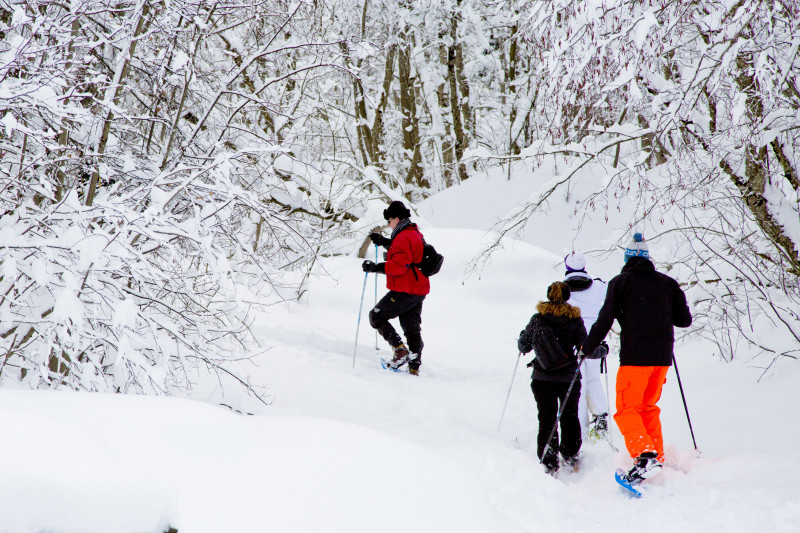 Promenade en raquettes à neige pour un « au revoir à la vallée » Promenade en raquettes à neige pour un « au revoir à la vallée »