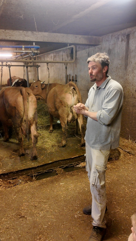 Visite d'une ferme de vaches laitières - La Chal_Saint-Jean-d'Arves Visite d'une ferme de vaches laitières - La Chal_Saint-Jean-d'Arves